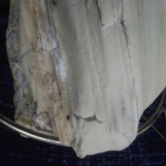 Petrified wood/ rocks - Picture 2 of 4